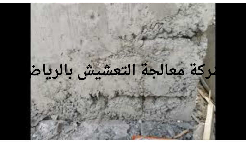 شركة معالجة التعشيش بالرياض