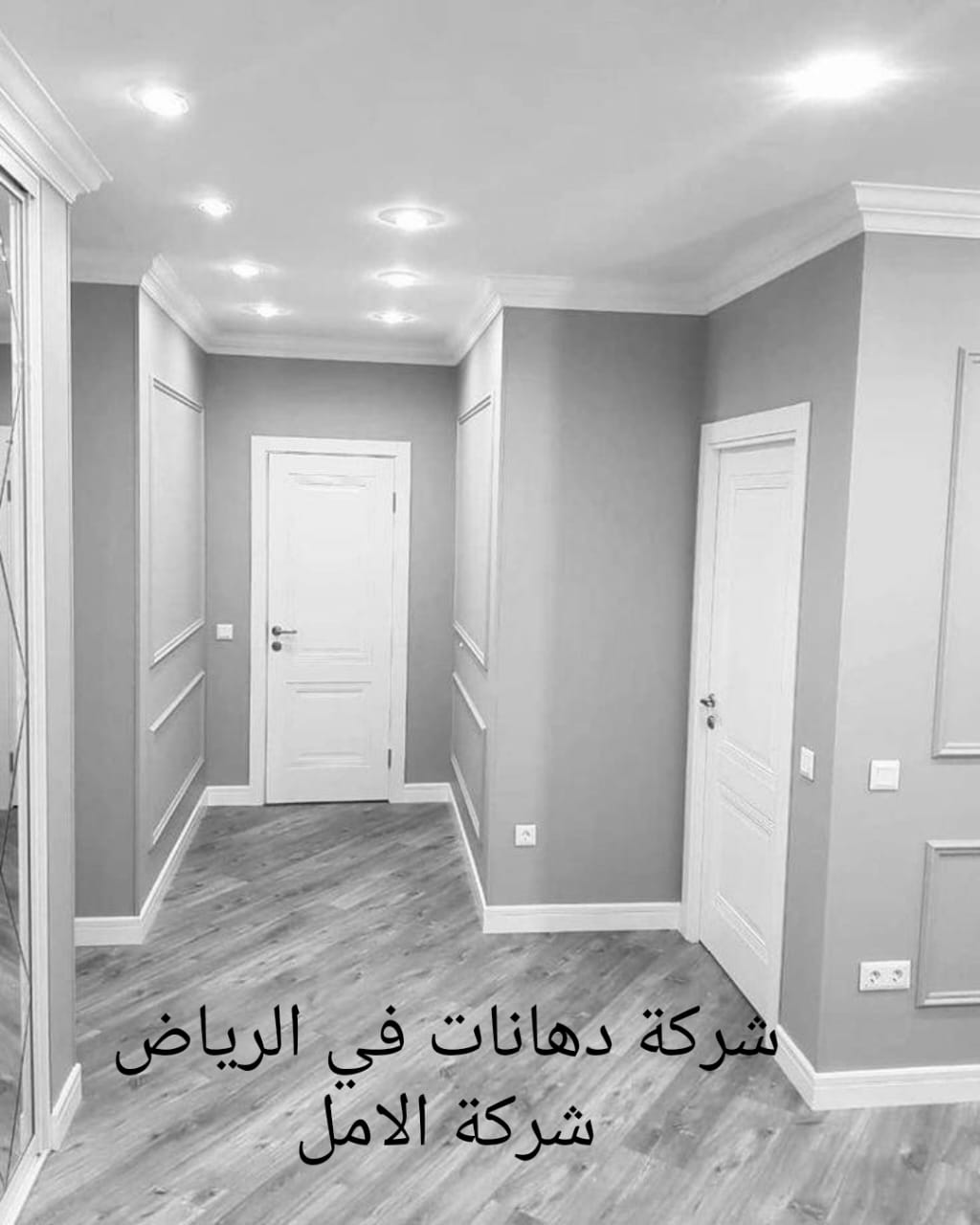 شركة دهانات في الرياض