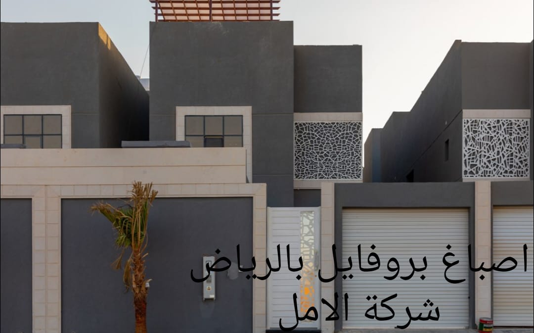 اصباغ بروفيل بالرياض