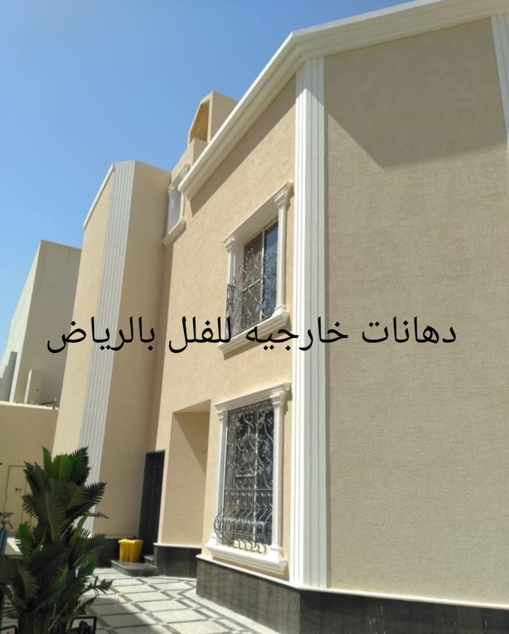 دهانات خارجيه للفلل بالرياض