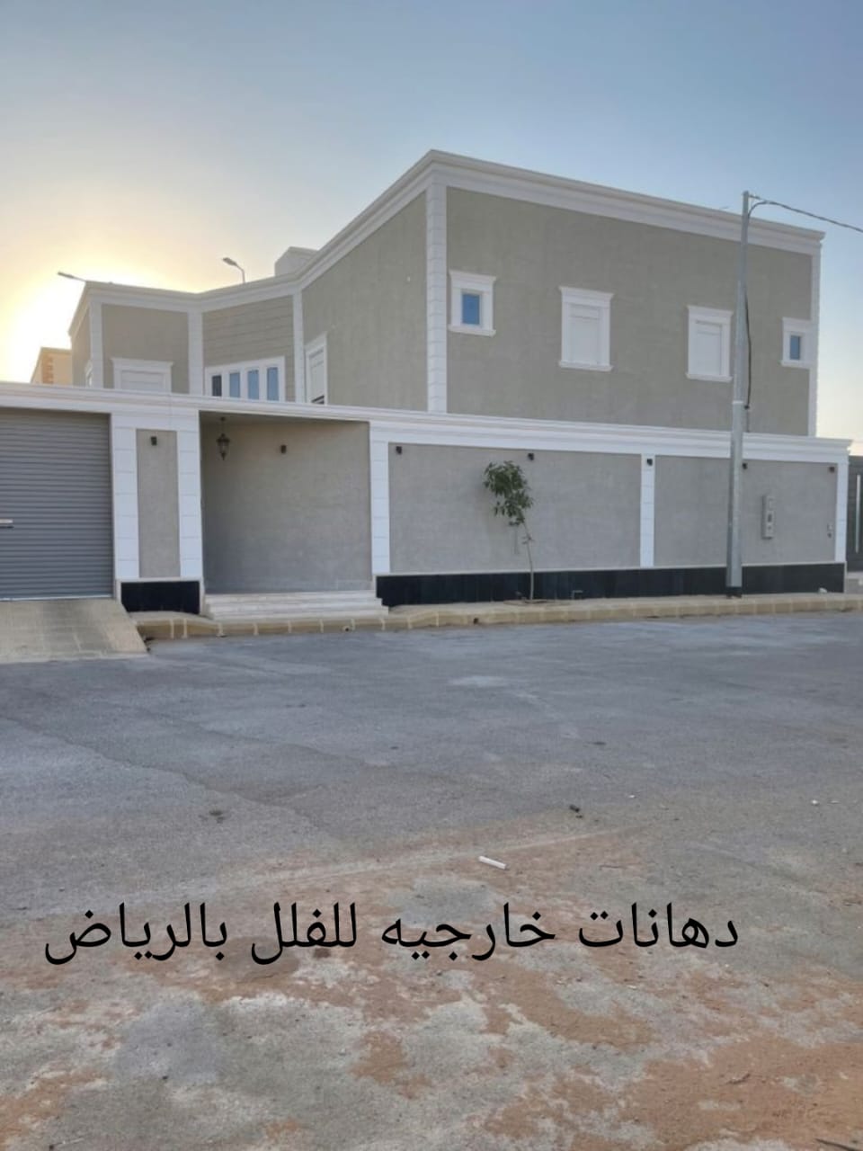 دهانات خارجيه للفلل بالرياض